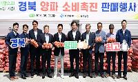 경북도, 양파값 폭락 농가 돕기 총력